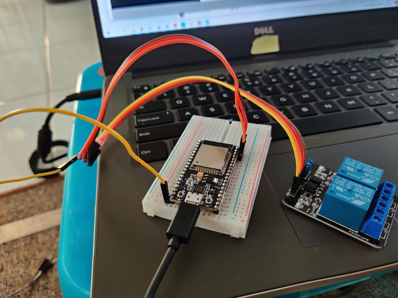 WhatsApp Image 2021-09-04 at 16.43.39