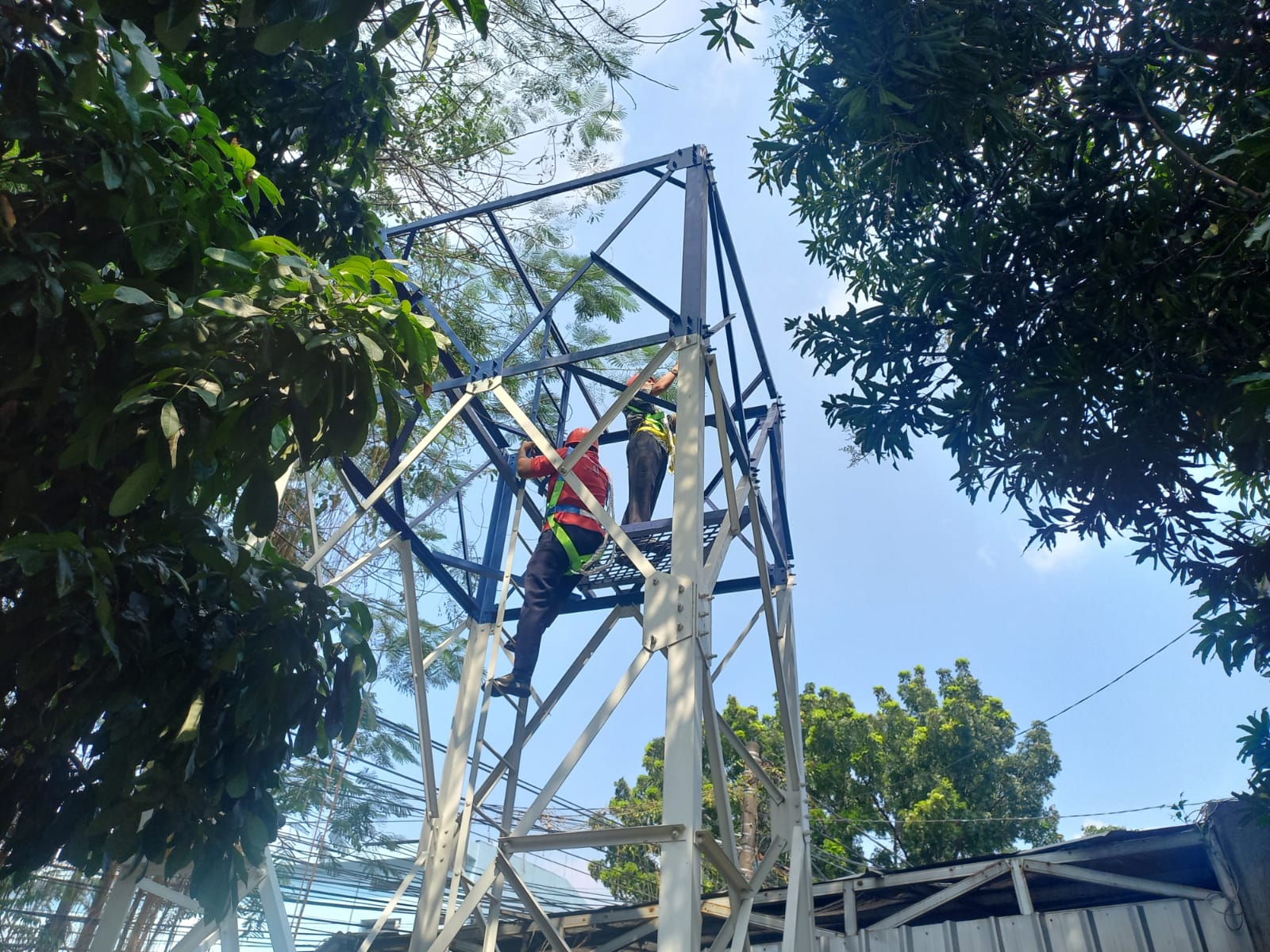 WhatsApp Image 2024-08-01 at 07.14.49 (1)