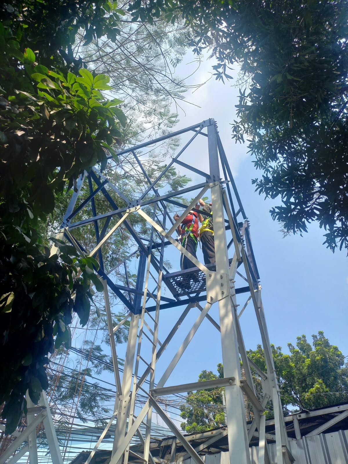 WhatsApp Image 2024-08-01 at 07.14.50