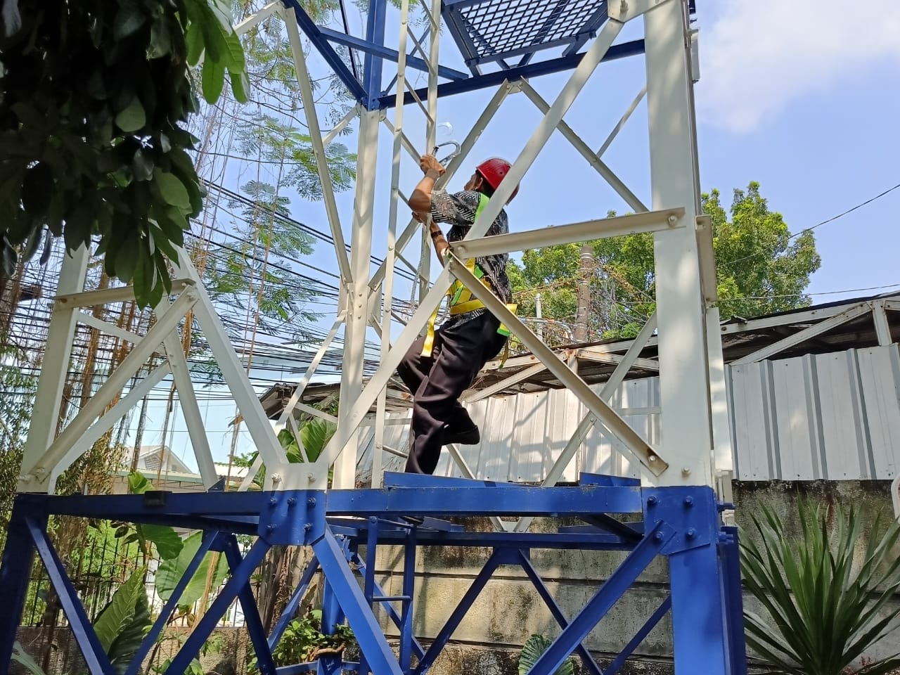 WhatsApp Image 2024-08-07 at 15.49.06 (2)